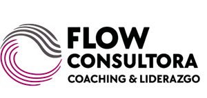 Flow Consultora Oscuro