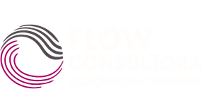 Flow Consultora